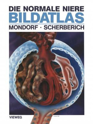 Kniha Die Normale Niere Bildatlas A. Werner Mondorf