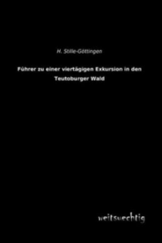 Könyv Führer zu einer viertägigen Exkursion in den Teutoburger Wald H. Stille-Göttingen