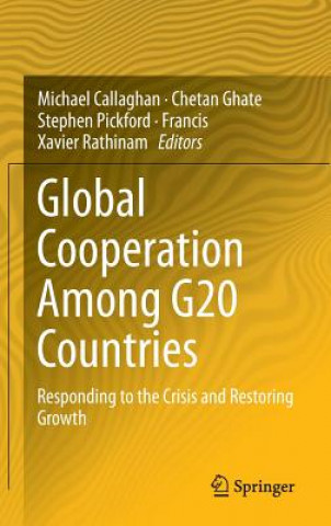 Könyv Global Cooperation Among G20 Countries Francis Xavier Rathinam