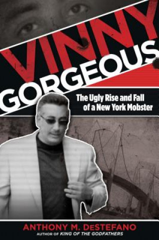 Book Vinny Gorgeous Anthony M DeStefano