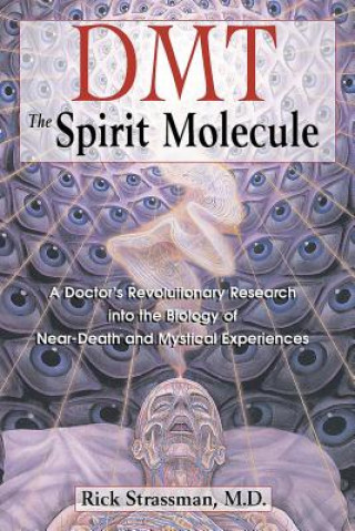 Kniha Dmt : the Spririt Molecule Rick Strassman