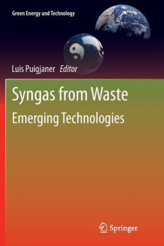 Książka Syngas from Waste Luis Puigjaner