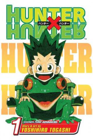 Carte Hunter x Hunter, Vol. 1 Yoshihiro Togashi