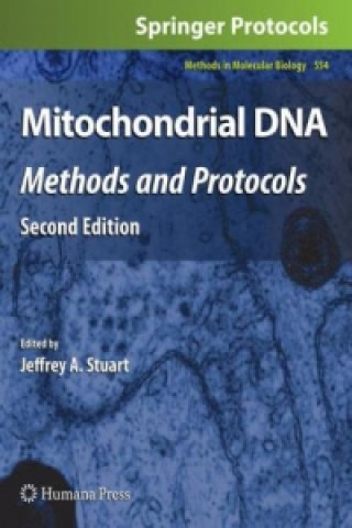 Könyv Mitochondrial DNA Jeffrey A Stuart