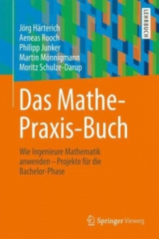 Carte Das Mathe-Praxis-Buch Jörg Härterich