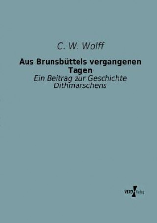 Kniha Aus Brunsbuttels vergangenen Tagen C. W. Wolff