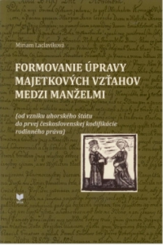 Könyv Formovanie úpravy majetkových vzťahov medzi manželmi Miriam Laclavíková
