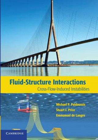 Kniha Fluid-Structure Interactions Michael P. Pa