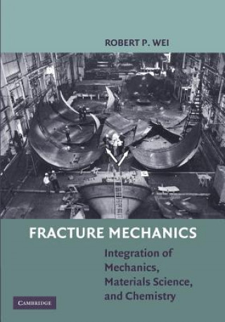 Kniha Fracture Mechanics Robert P. Wei