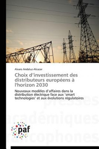 Carte Choix D Investissement Des Distributeurs Europeens A l'Horizon 2030 Alvaro Andaluz-Alcazar