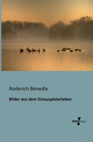 Könyv Bilder aus dem Schauspielerleben Roderich Benedix