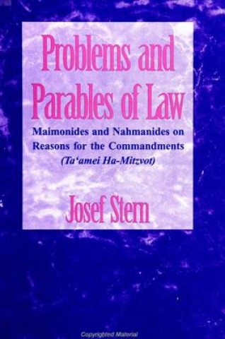 Kniha Problems and Parables of Law Josef Stern