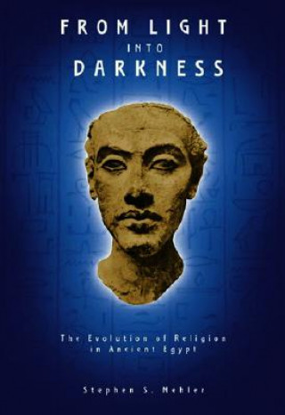 Könyv From Light into Darkness Stephen S Mehler
