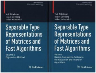 Könyv Separable Type Representations of Matrices and Fast Algorithms Yuli Eidelman