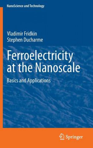 Könyv Ferroelectricity at the Nanoscale Vladimir Fridkin