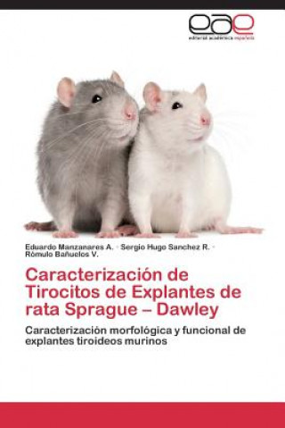 Kniha Caracterizacion de Tirocitos de Explantes de rata Sprague - Dawley Eduardo Manzanares A.