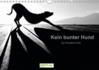 Koledar/Rokovnik Kein bunter Hund (Wandkalender immerwährend DIN A4 quer) Christine Frick