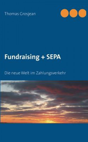 Knjiga Fundraising + SEPA Thomas Grosjean