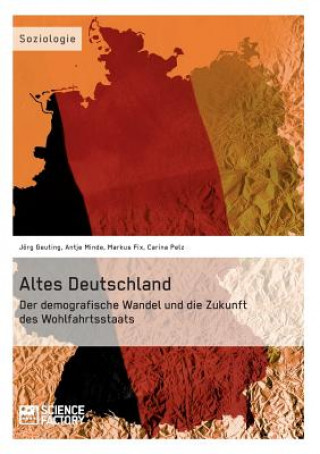 Könyv Altes Deutschland. Der demografische Wandel und die Zukunft des Wohlfahrtsstaats Joerg Geuting