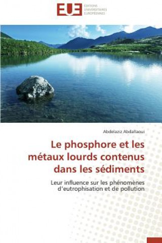 Buch Le Phosphore Et Les M taux Lourds Contenus Dans Les S diments Abdelaziz Abdallaoui