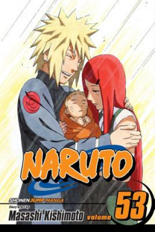 Kniha Naruto, Vol. 53 Masashi Kishimoto