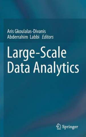 Książka Large-Scale Data Analytics Aris Gkoulalas-Divanis