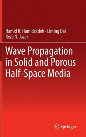 Könyv Wave Propagation in Solid and Porous Half-Space Media Hamid R. Hamidzadeh