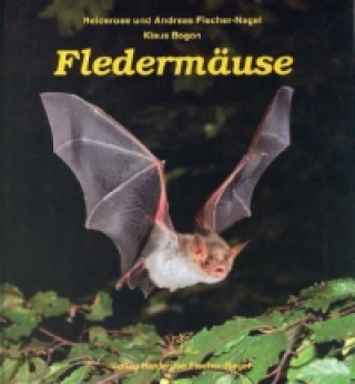 Kniha Fledermäuse Heiderose Fischer-Nagel