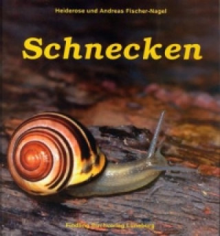 Kniha Schnecken Heiderose Fischer-Nagel