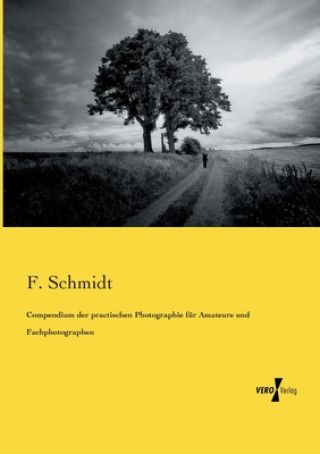 Kniha Compendium der practischen Photographie fur Amateure und Fachphotographen F. Schmidt