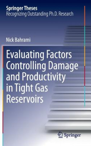Könyv Evaluating Factors Controlling Damage and Productivity in Tight Gas Reservoirs Hassan Bahrami