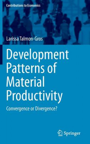 Kniha Development Patterns of Material Productivity Larissa Talmon-Gros