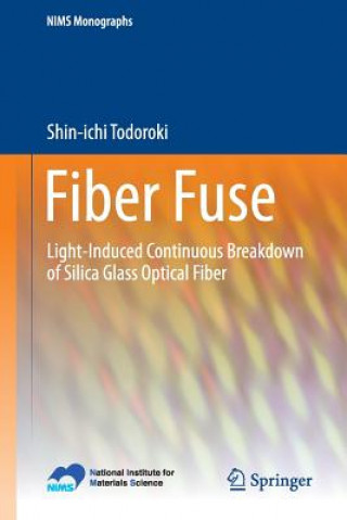 Kniha Fiber Fuse Todoroki Shin ichi