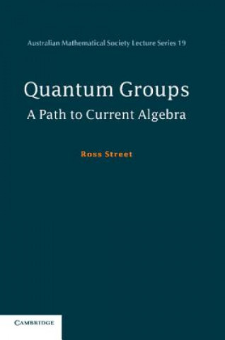 Knjiga Quantum Groups Ross Street