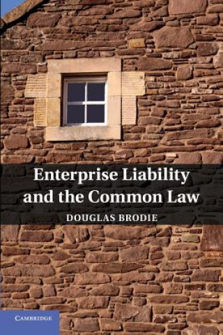 Книга Enterprise Liability and the Common Law Douglas Brodie