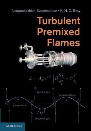 Kniha Turbulent Premixed Flames Nedunchezhian Swaminathan