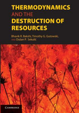 Könyv Thermodynamics and the Destruction of Resources Bhavik R. Bakshi