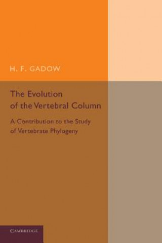 Książka Evolution of the Vertebral Column H. F. Gadow