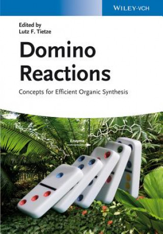Buch Domino Reactions - Concepts for Efficient Organic Synthesis Lutz Fr. Tietze