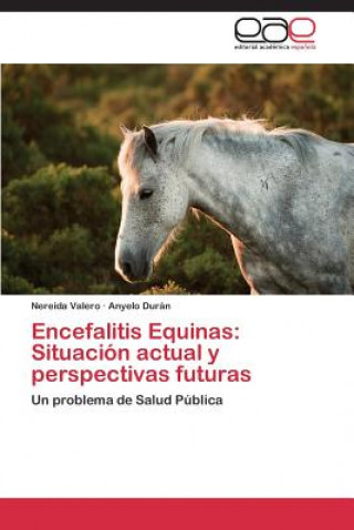 Kniha Encefalitis Equinas Nereida Valero