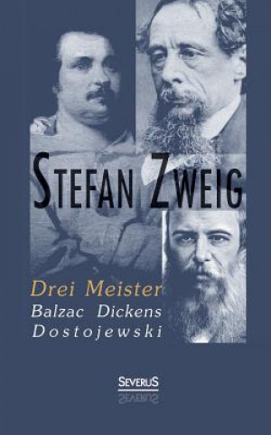 Buch Drei Meister Stefan Zweig