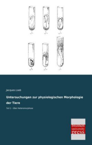 Kniha Untersuchungen zur physiologischen Morphologie der Tiere. Tl.1 Jacques Loeb