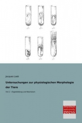 Książka Untersuchungen zur physiologischen Morphologie der Tiere. Tl.2 Jacques Loeb