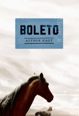 Libro Boleto Alyson Hagy