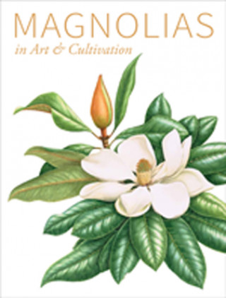 Kniha Magnolias Barbara Oozeerally