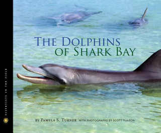 Kniha Dolphins of Shark Bay Pamela Turner