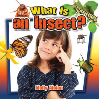 Kniha What is an insect? Molly Aloian
