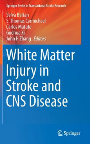 Könyv White Matter Injury in Stroke and CNS Disease Baltan