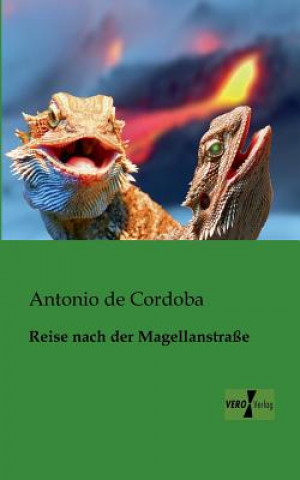 Knjiga Reise nach der Magellanstrasse Antonio de Cordoba