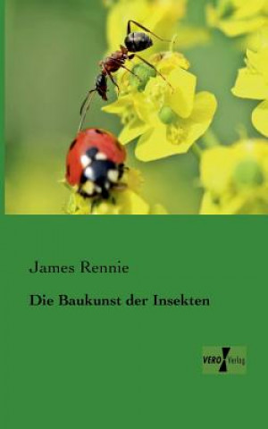 Buch Baukunst der Insekten James Rennie